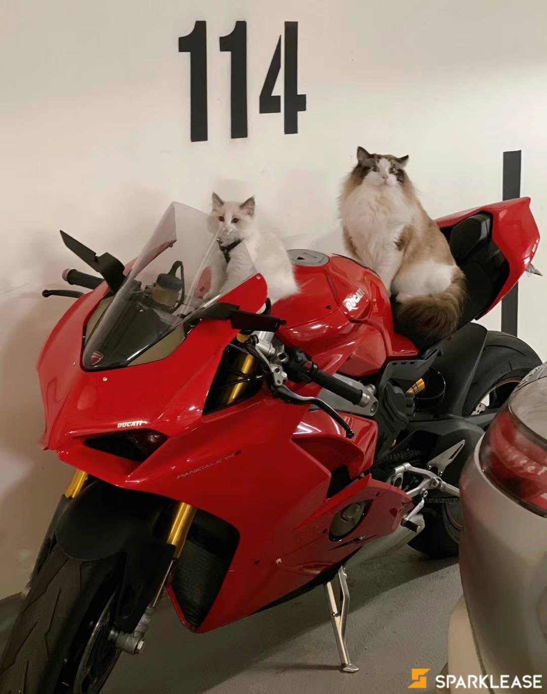 2019 Ducati Panigale v4s, 温哥华, 全款