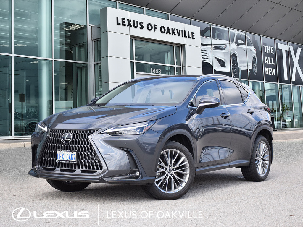 2025 Lexus NX 350 NX 350