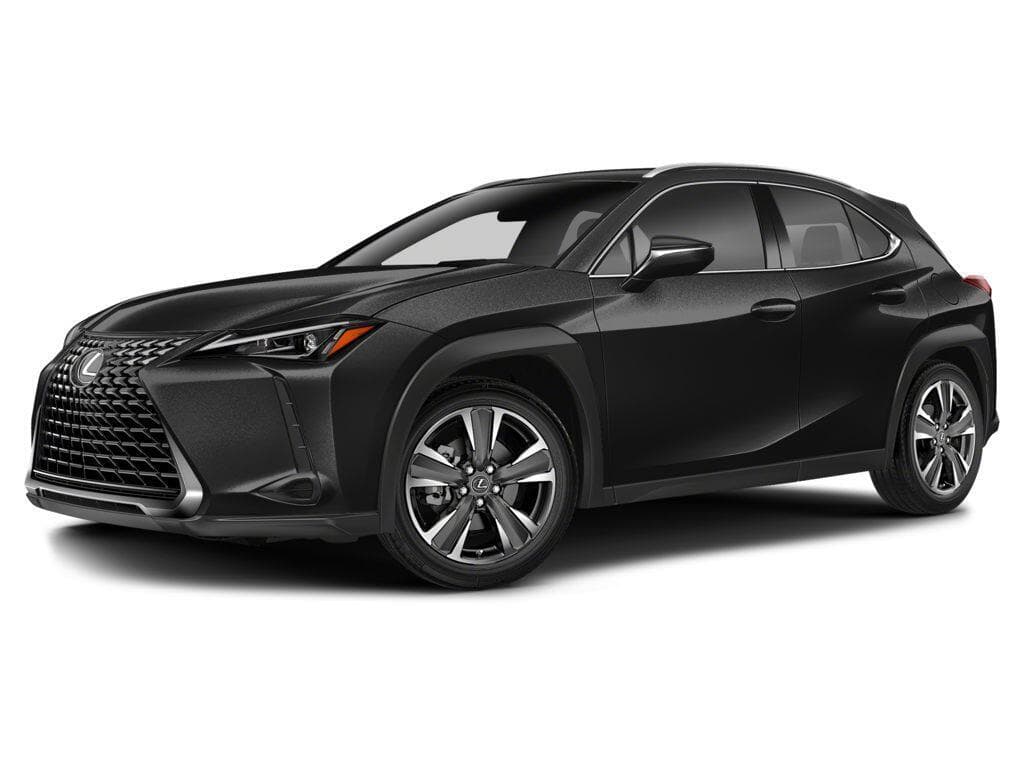 2025 Lexus UX 300h 