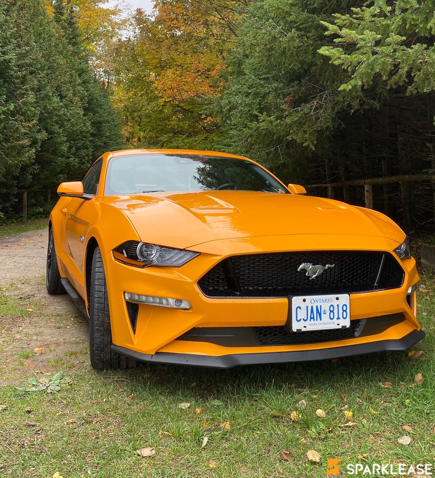2019 Ford Mustang GT Premium Fastback, 多伦多, 全款车