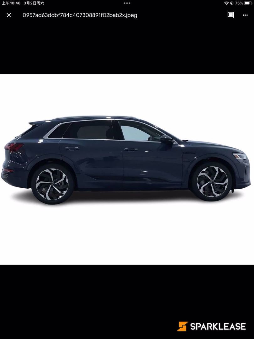 2024 Audi Q8 e-tron quattro, 温哥华, 五大行Finance估价