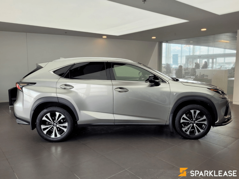 2019 Lexus NX300, 多伦多, 全款车