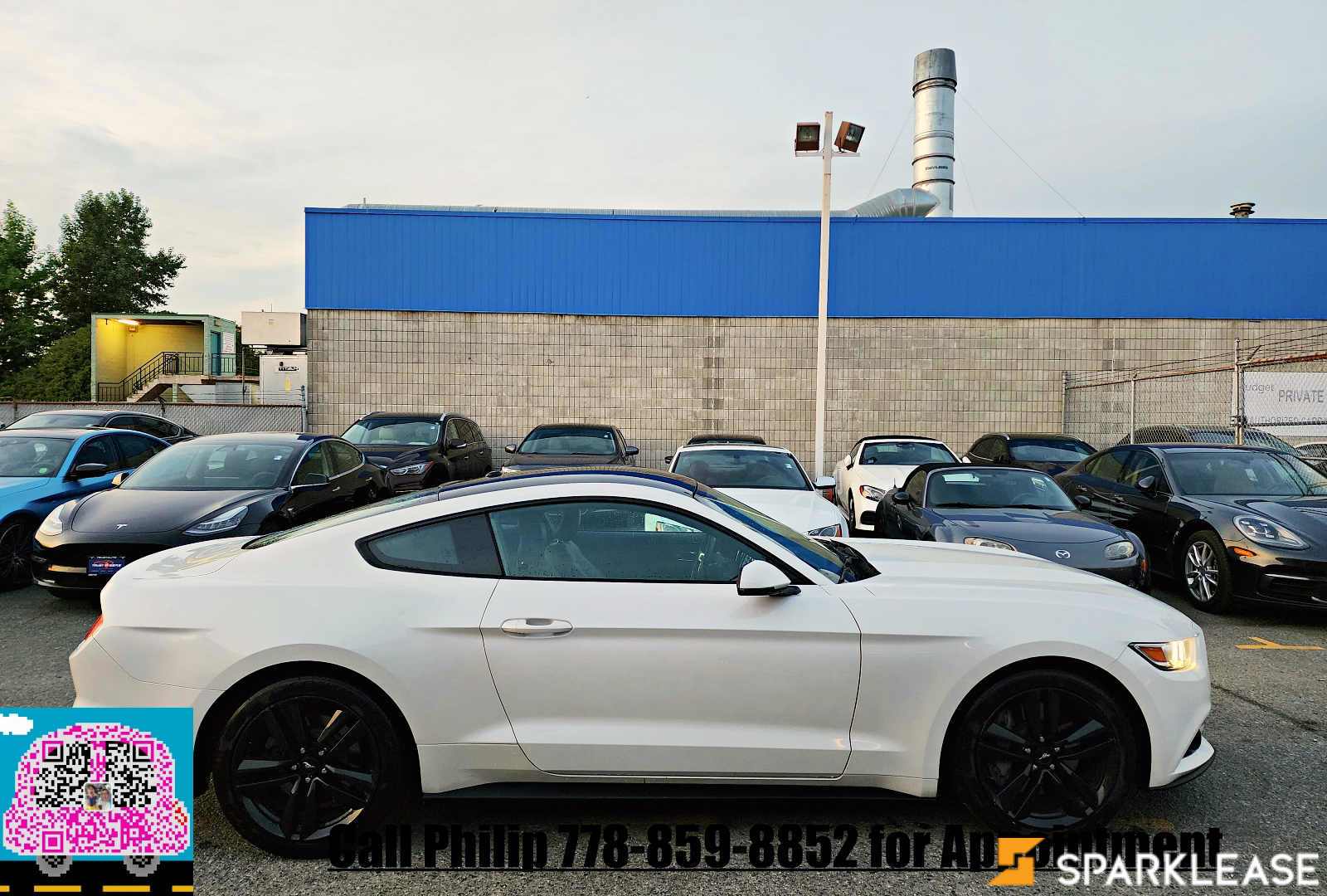 2017 Ford Mustang 2dr Fastback EcoBoost Premium, 温哥华, 全款车