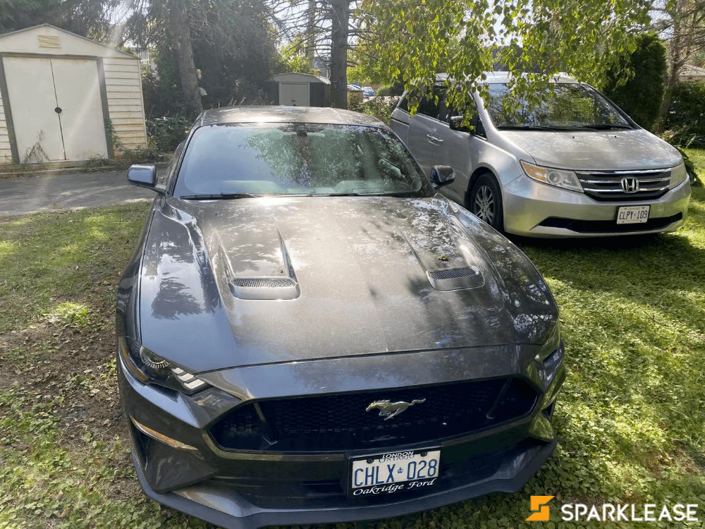 2019 Ford Mustang GT, 多伦多, 转LEASE