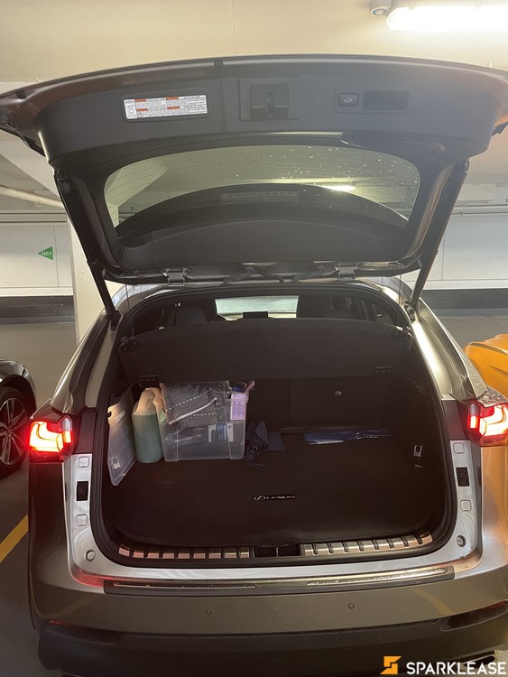 2016 Lexus NX 200T Sport, 多伦多, 全款车