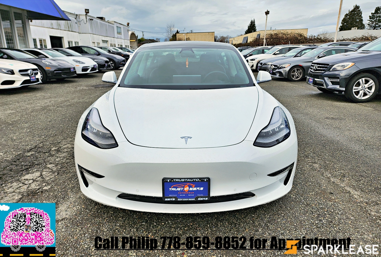 2020 Tesla Model 3 Range Plus, 温哥华, 全款车