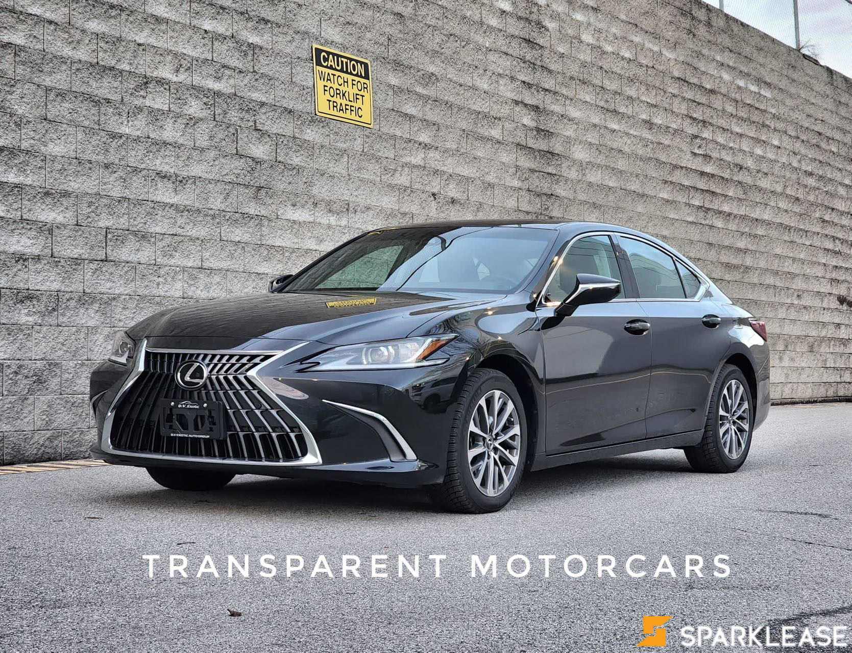 2022 Lexus ES ES 250 Auto, 温哥华, 全款车