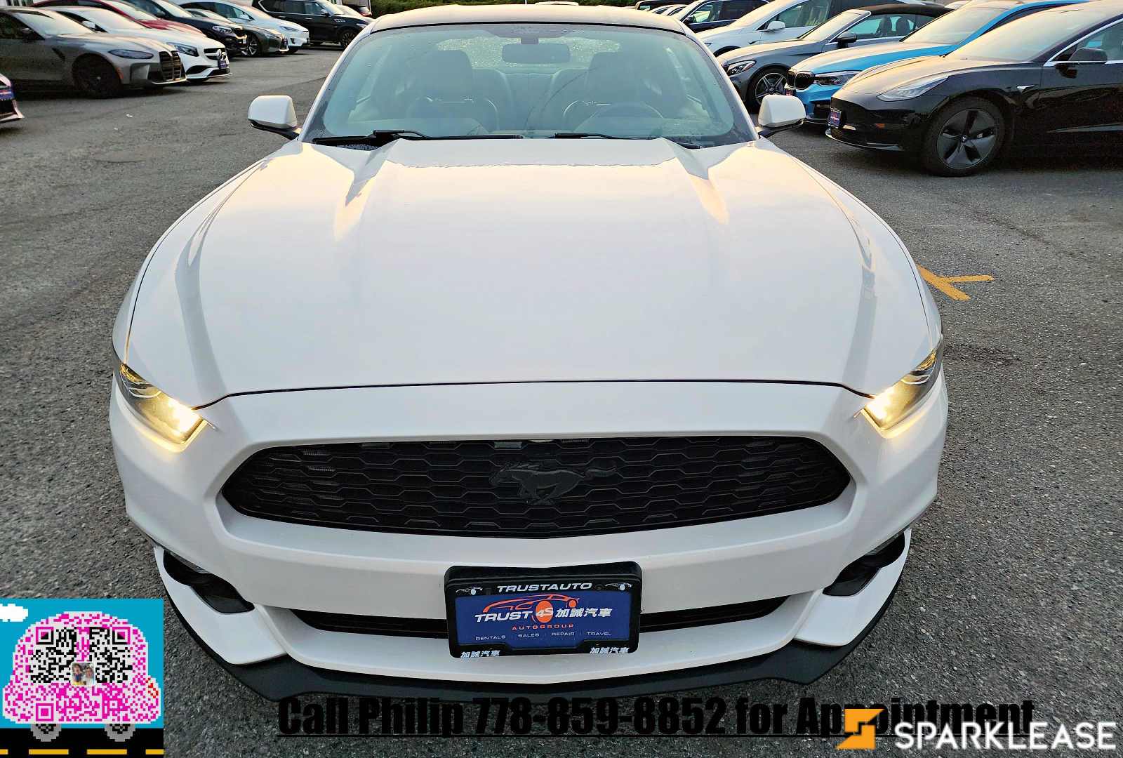 2017 Ford Mustang 2dr Fastback EcoBoost Premium, 温哥华, 全款车