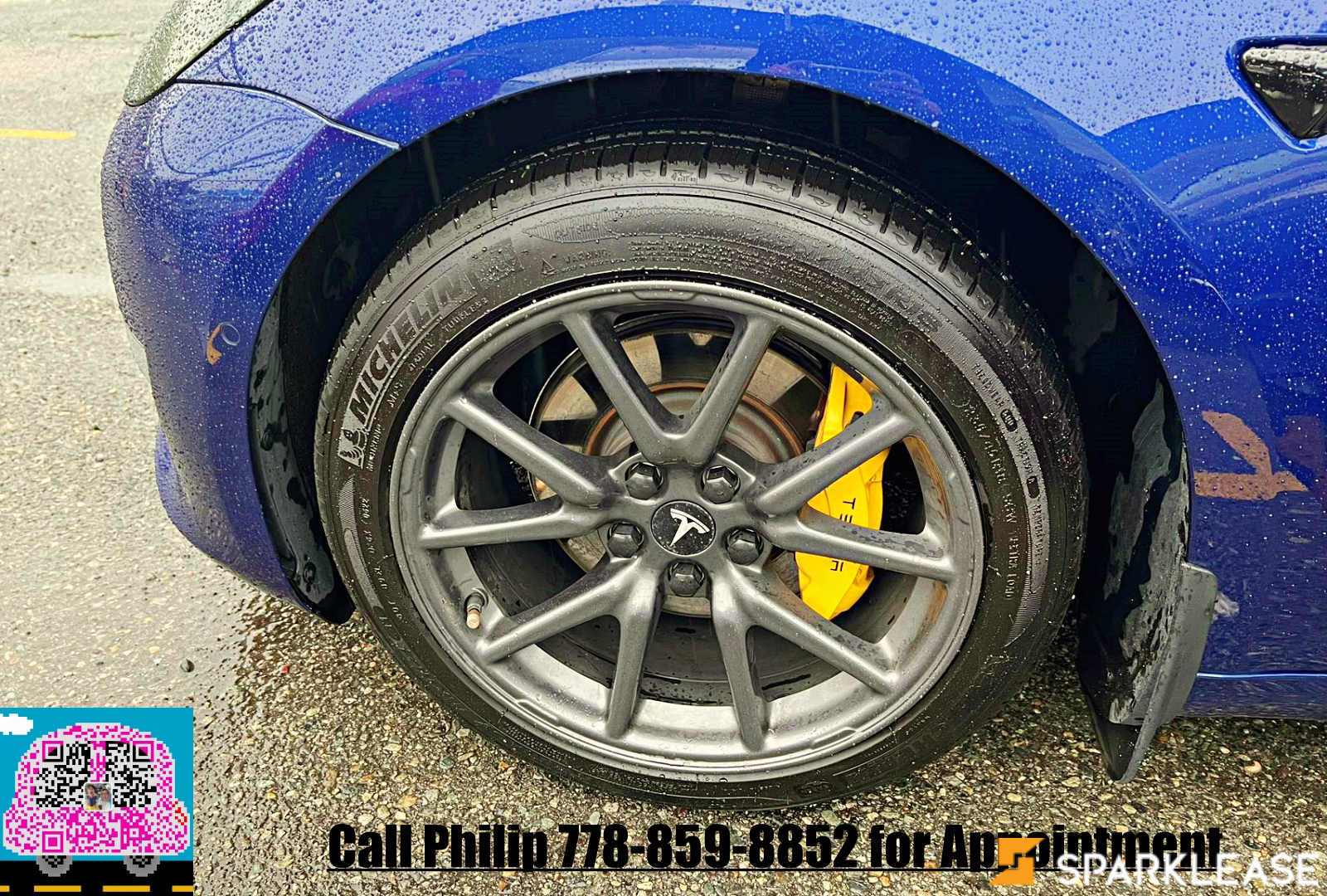 2020 Tesla Model 3 Standard Range Plus RWD, 温哥华, 全款车