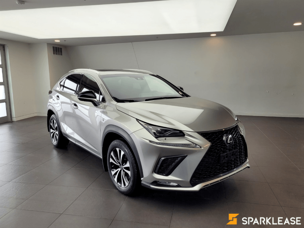 2019 Lexus NX300, 多伦多, 全款车