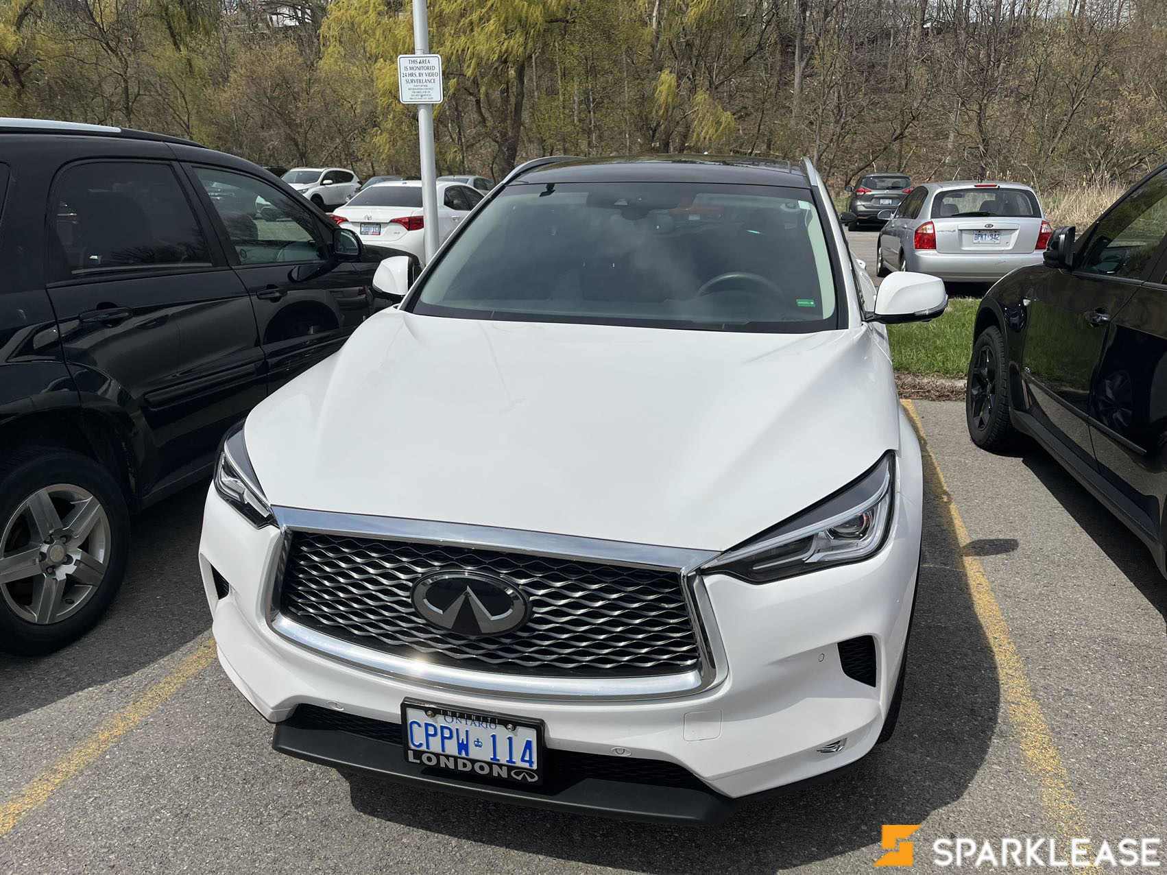2019 Infiniti QX50 ProACTIVE AWD, 多伦多, 全款车