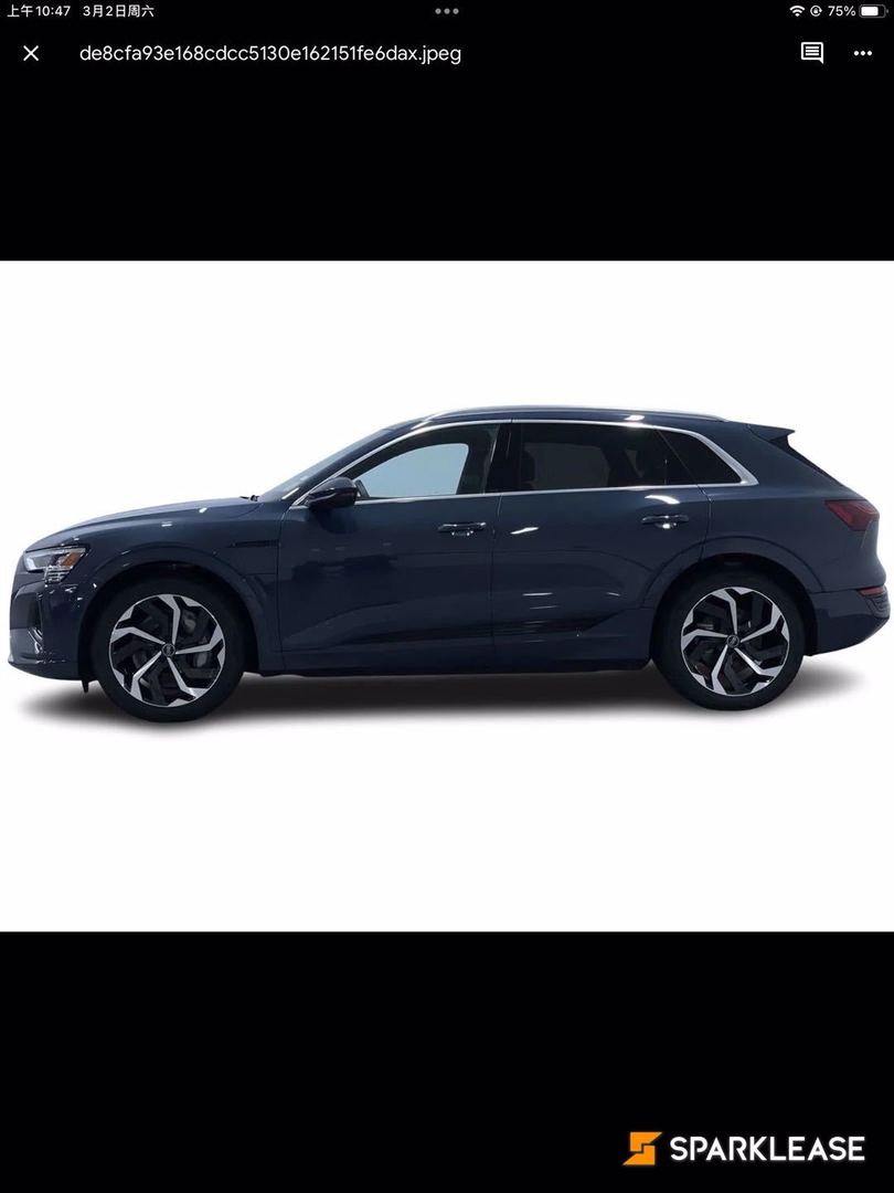 2024 Audi Q8 e-tron quattro, 温哥华, 五大行Finance估价