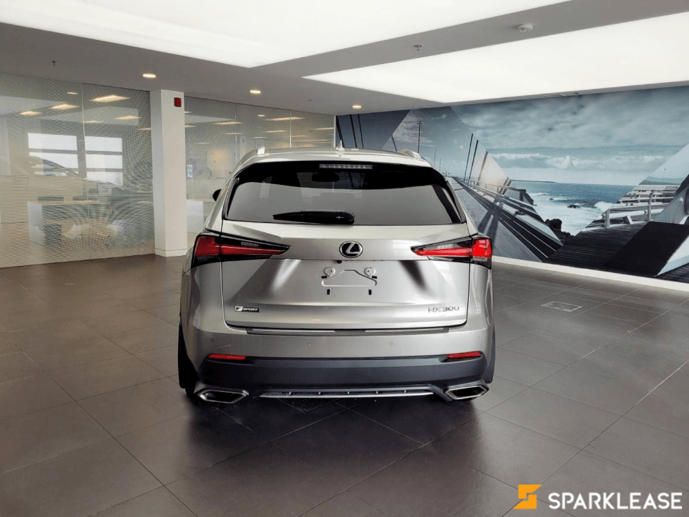 2019 Lexus NX300, 多伦多, 全款车