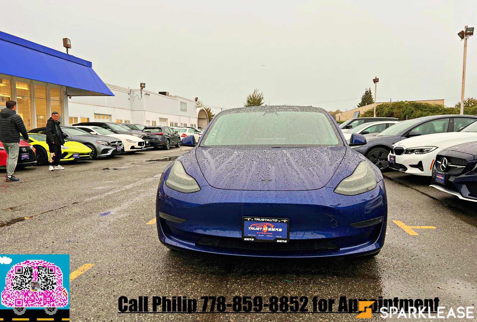 2020 Tesla Model 3 Standard Range Plus RWD, 温哥华, 全款车