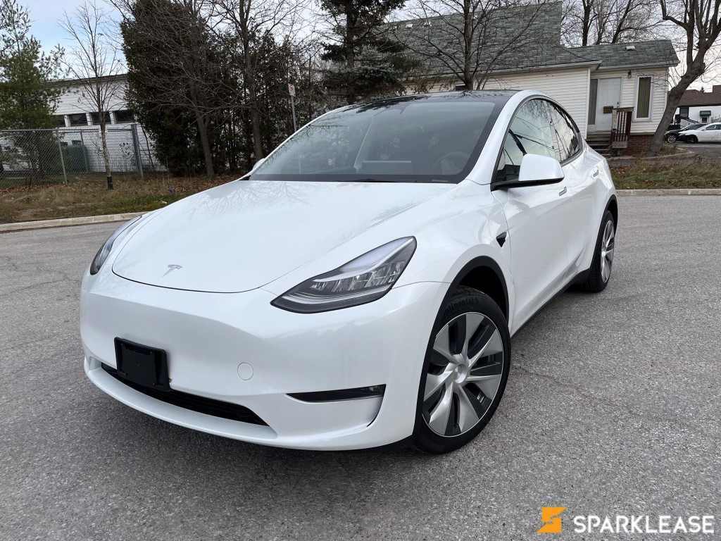 2023 Tesla  Model Y  Long Range AWD , 多伦多, 全款车