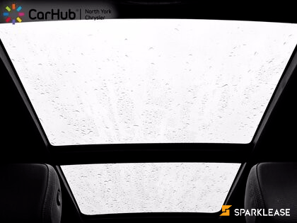 2020 Mercedes-Benz GLS 450, 多伦多, 全款车